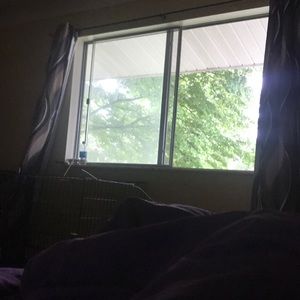 Meet your Posher, Alicia